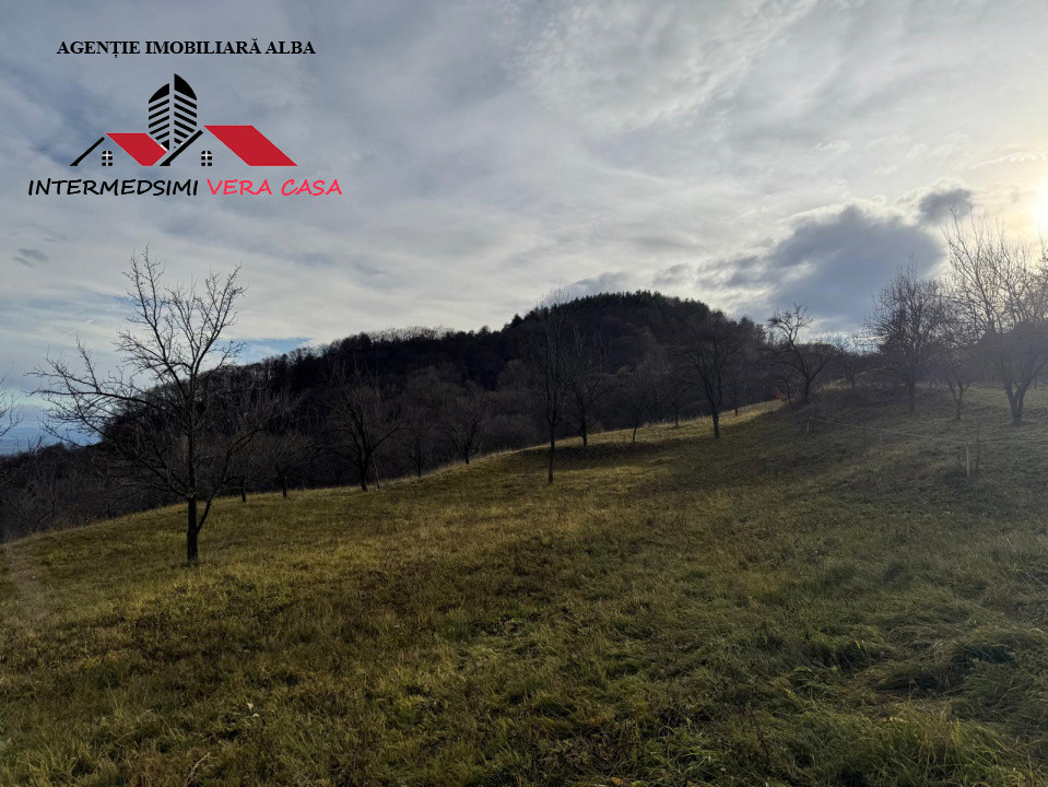 Teren intravilan 13698 mt  de vanzare Inuri Jud Alba