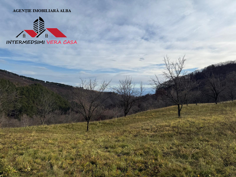 Teren intravilan 13698 mt  de vanzare Inuri Jud Alba