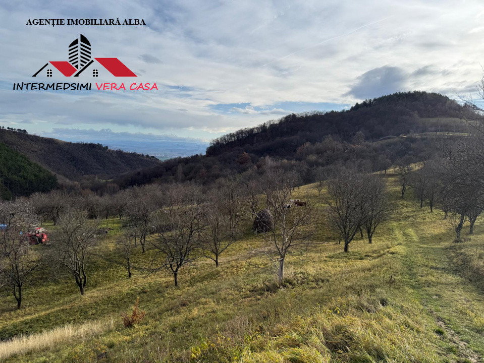 Teren intravilan 13698 mt  de vanzare Inuri Jud Alba