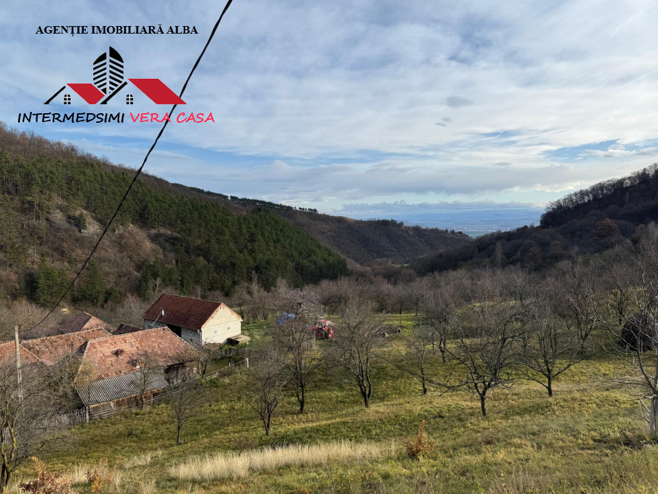 Teren intravilan 13698 mt  de vanzare Inuri Jud Alba