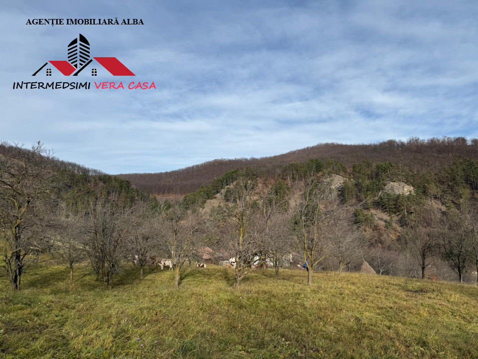 Teren intravilan 13698 mt  de vanzare Inuri Jud Alba