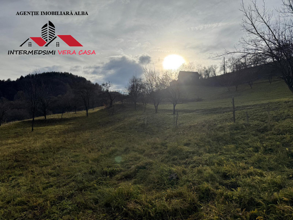 Teren intravilan 13698 mt  de vanzare Inuri Jud Alba