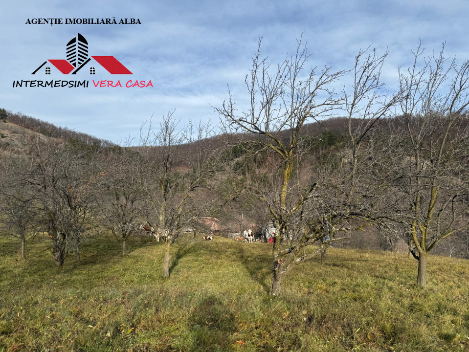 Teren intravilan 13698 mt  de vanzare Inuri Jud Alba