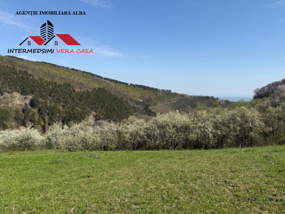 Teren intravilan 13698 mt  de vanzare Inuri Jud Alba