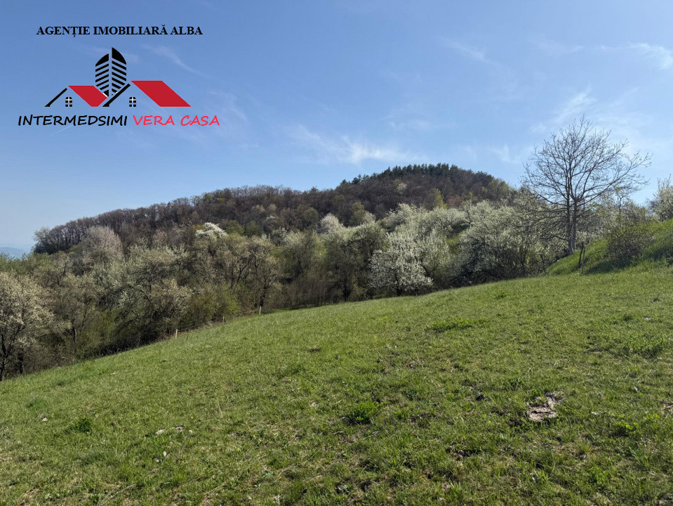 Teren intravilan 13698 mt  de vanzare Inuri Jud Alba