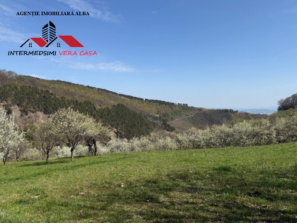 Teren intravilan 13698 mt  de vanzare Inuri Jud Alba