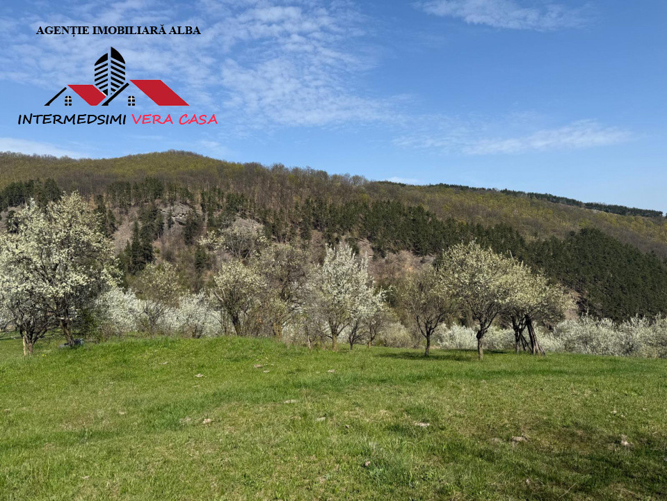 Teren intravilan 13698 mt  de vanzare Inuri Jud Alba