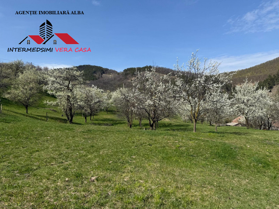 Teren intravilan 13698 mt  de vanzare Inuri Jud Alba