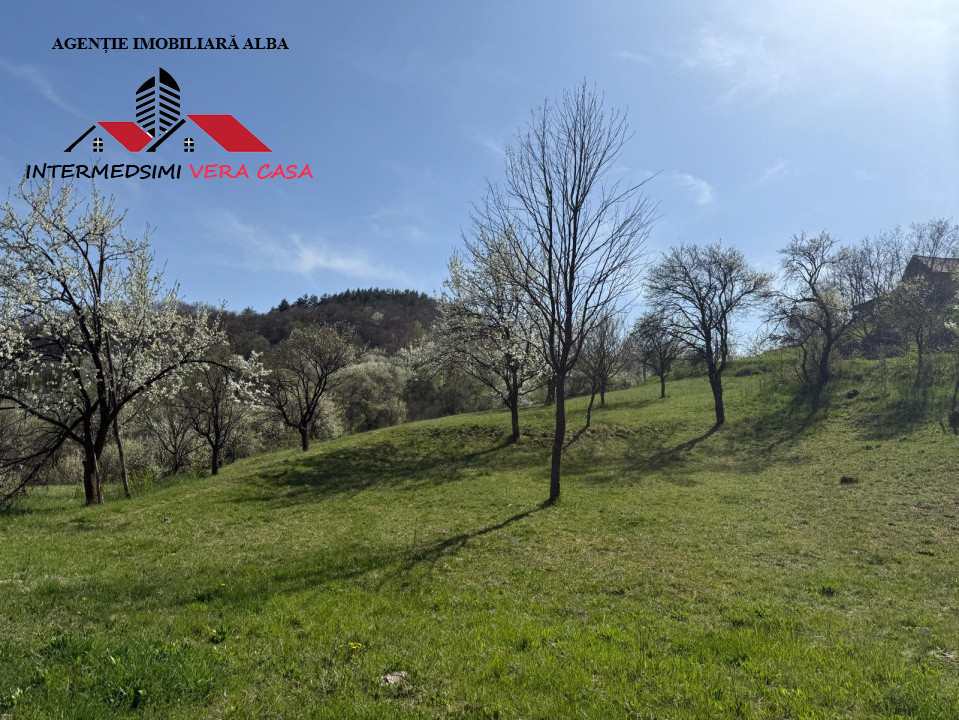 Teren intravilan 13698 mt  de vanzare Inuri Jud Alba