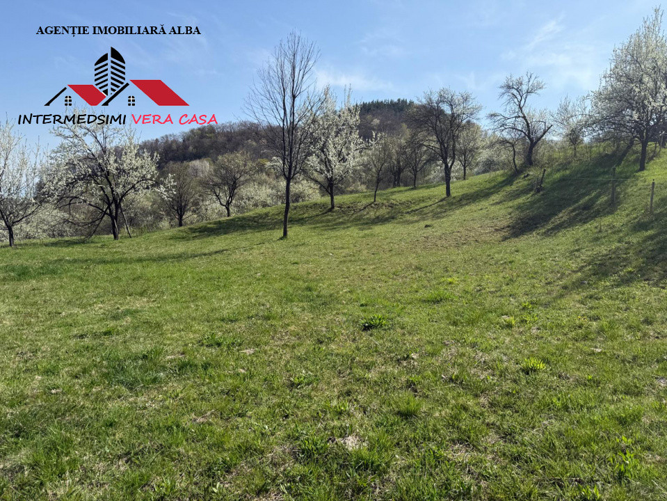 Teren intravilan 13698 mt  de vanzare Inuri Jud Alba
