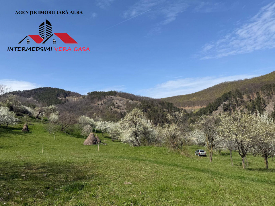 Teren intravilan 13698 mt  de vanzare Inuri Jud Alba