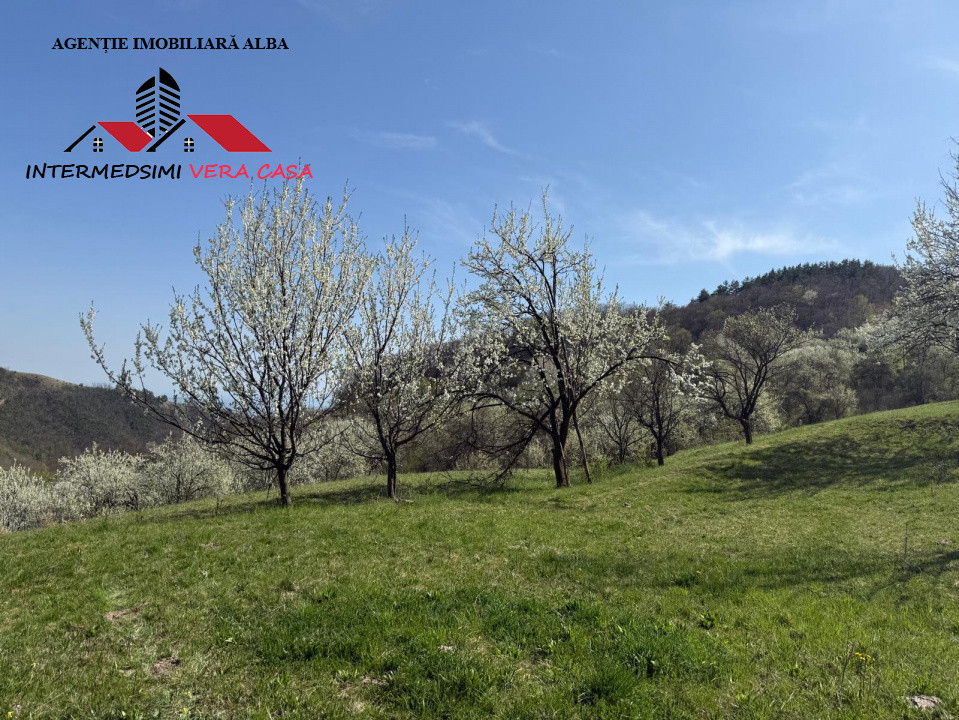Teren intravilan 13698 mt  de vanzare Inuri Jud Alba