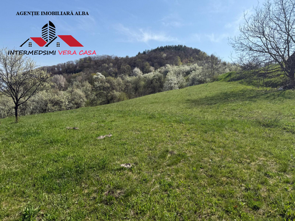 Teren intravilan 13698 mt  de vanzare Inuri Jud Alba