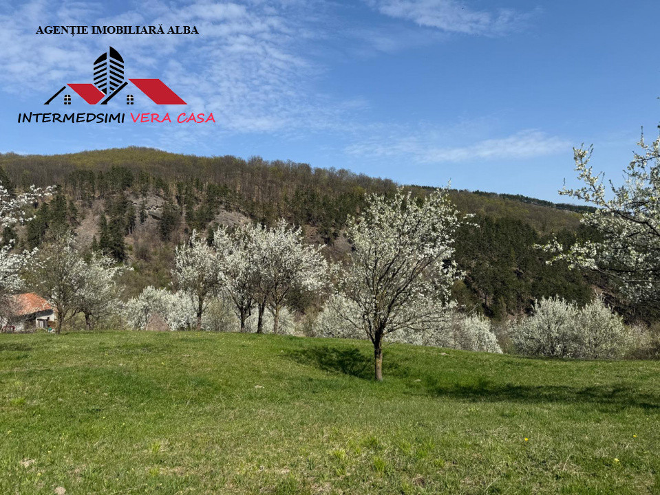 Teren intravilan 13698 mt  de vanzare Inuri Jud Alba