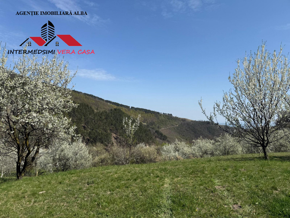 Teren intravilan 13698 mt  de vanzare Inuri Jud Alba