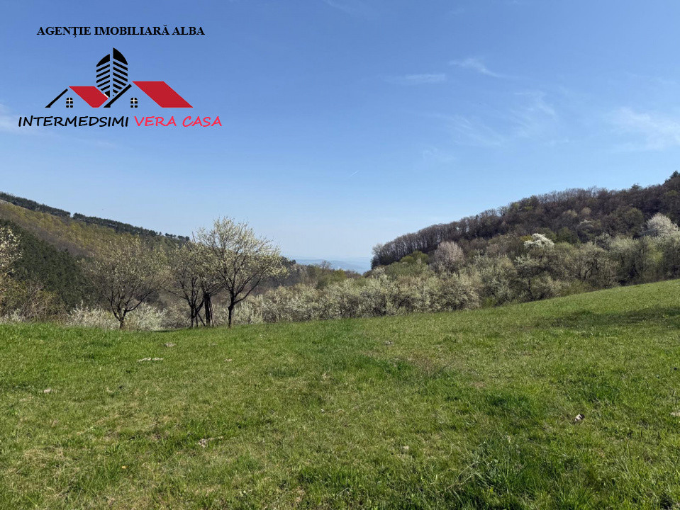 Teren intravilan 13698 mt  de vanzare Inuri Jud Alba