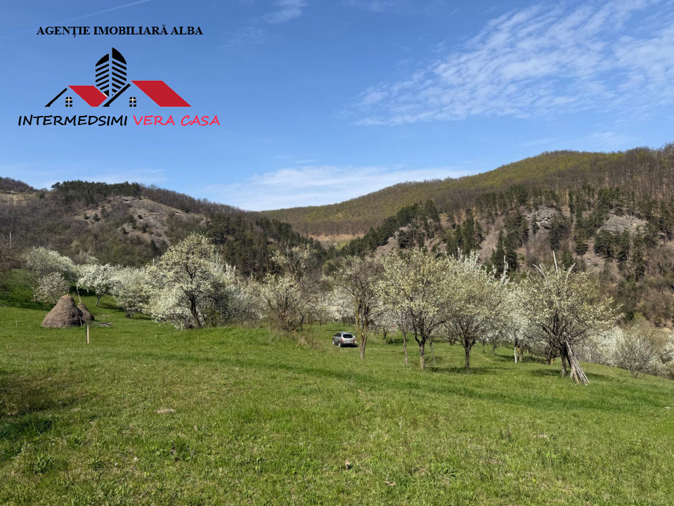 Teren intravilan 13698 mt  de vanzare Inuri Jud Alba