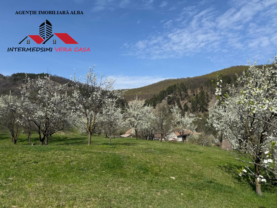 Teren intravilan 13698 mt  de vanzare Inuri Jud Alba