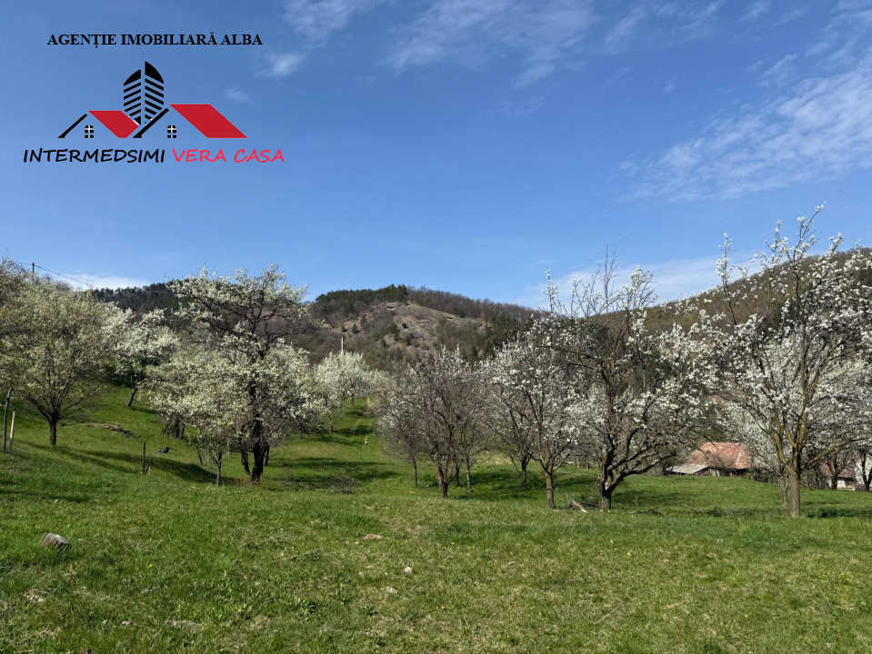 Teren intravilan 13698 mt  de vanzare Inuri Jud Alba