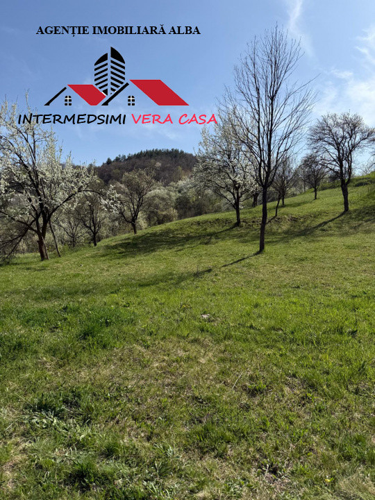 Teren intravilan 13698 mt  de vanzare Inuri Jud Alba