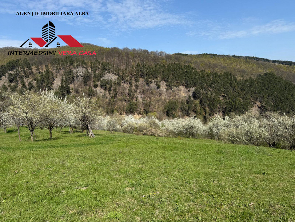 Teren intravilan 13698 mt  de vanzare Inuri Jud Alba