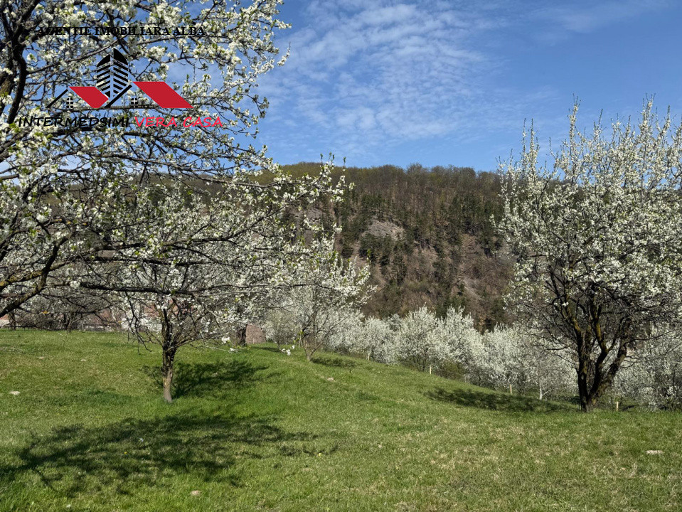 Teren intravilan 13698 mt  de vanzare Inuri Jud Alba