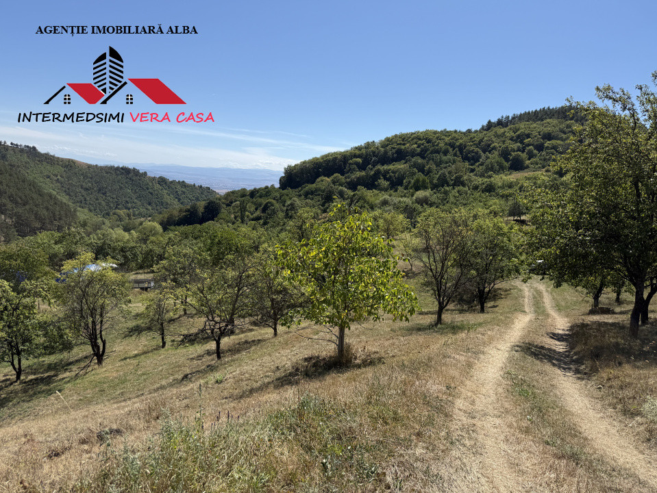 Teren intravilan 13698 mt  de vanzare Inuri Jud Alba