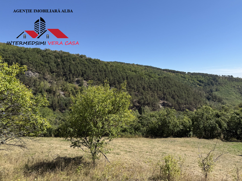 Teren intravilan 13698 mt  de vanzare Inuri Jud Alba