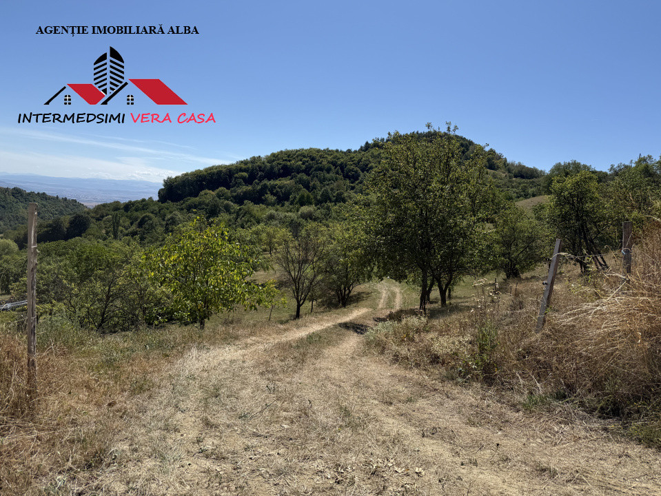 Teren intravilan 13698 mt  de vanzare Inuri Jud Alba