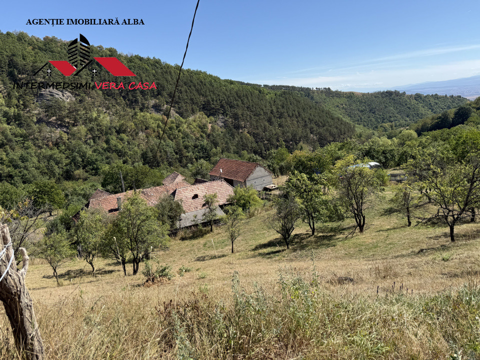 Teren intravilan 13698 mt  de vanzare Inuri Jud Alba