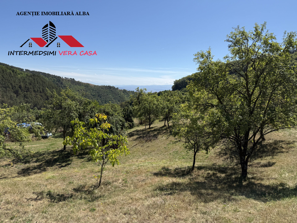 Teren intravilan 13698 mt  de vanzare Inuri Jud Alba