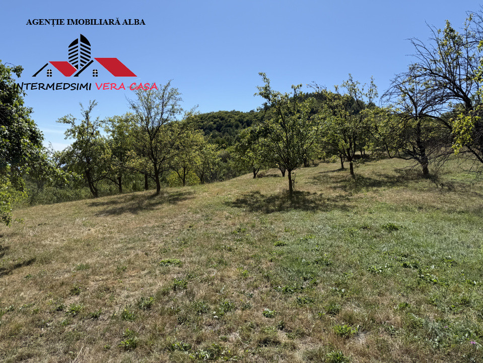 Teren intravilan 13698 mt  de vanzare Inuri Jud Alba