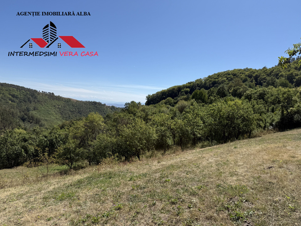 Teren intravilan 13698 mt  de vanzare Inuri Jud Alba