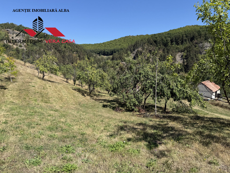 Teren intravilan 13698 mt  de vanzare Inuri Jud Alba