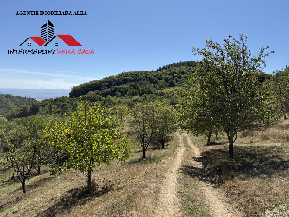 Teren intravilan 13698 mt  de vanzare Inuri Jud Alba