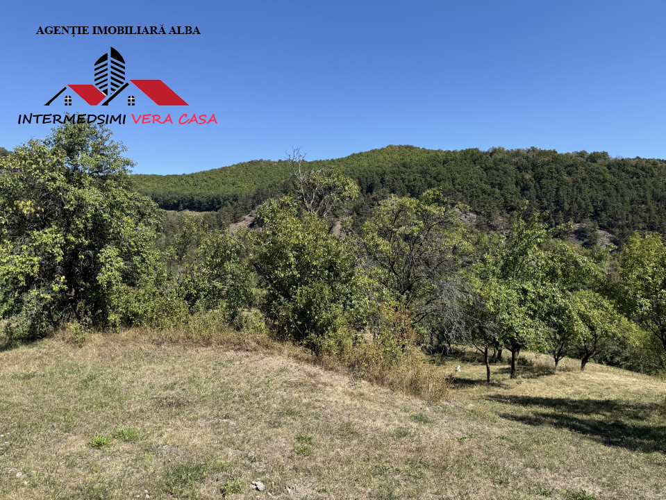 Teren intravilan 13698 mt  de vanzare Inuri Jud Alba