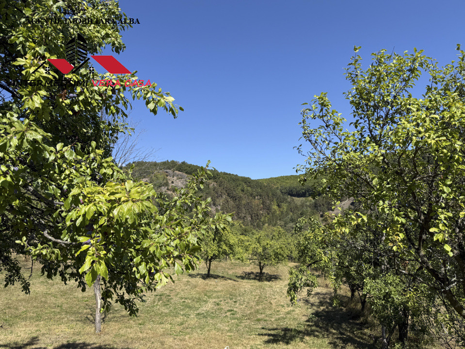 Teren intravilan 13698 mt  de vanzare Inuri Jud Alba