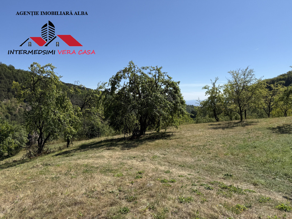 Teren intravilan 13698 mt  de vanzare Inuri Jud Alba