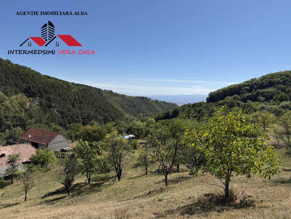 Teren intravilan 13698 mt  de vanzare Inuri Jud Alba