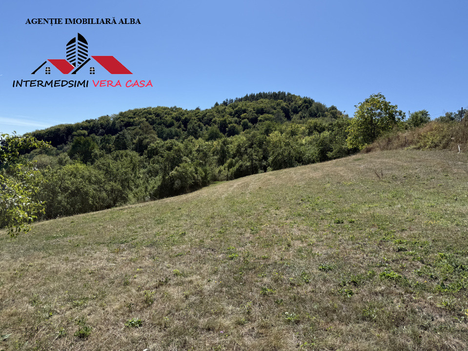 Teren intravilan 13698 mt  de vanzare Inuri Jud Alba