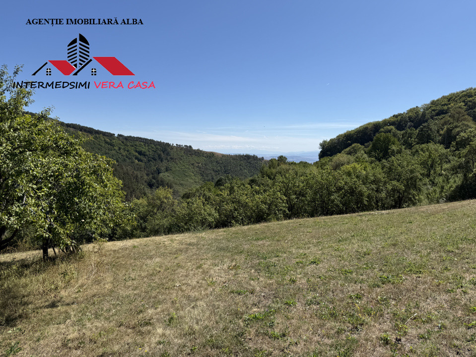 Teren intravilan 13698 mt  de vanzare Inuri Jud Alba