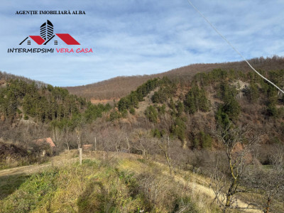 Teren intravilan 13698 mt  de vanzare Inuri Jud Alba