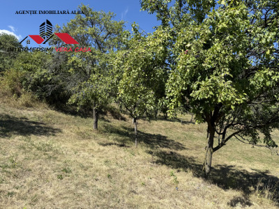 Teren intravilan 13698 mt  de vanzare Inuri Jud Alba