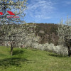 Teren intravilan 13698 mt  de vanzare Inuri Jud Alba