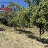 Teren intravilan 13698 mt  de vanzare Inuri Jud Alba