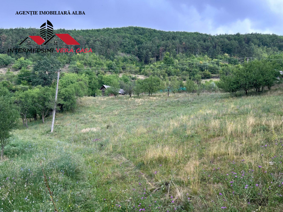 Teren intravilan 5000 mp de vanzare Remetea - Ampoita Jud Alba