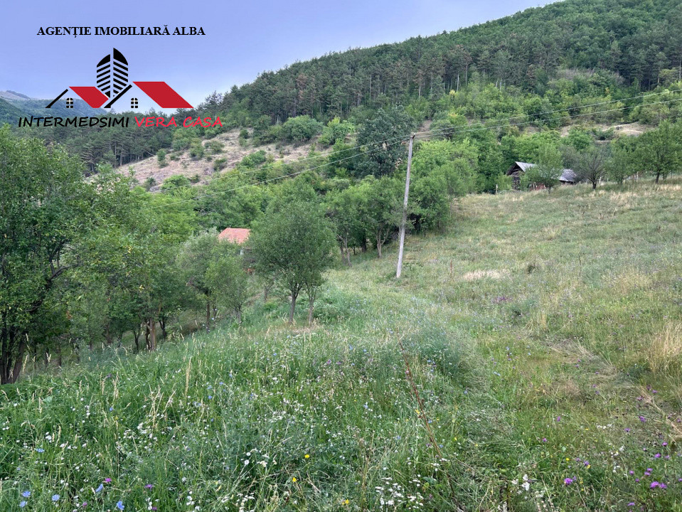 Teren intravilan 5000 mp de vanzare Remetea - Ampoita Jud Alba
