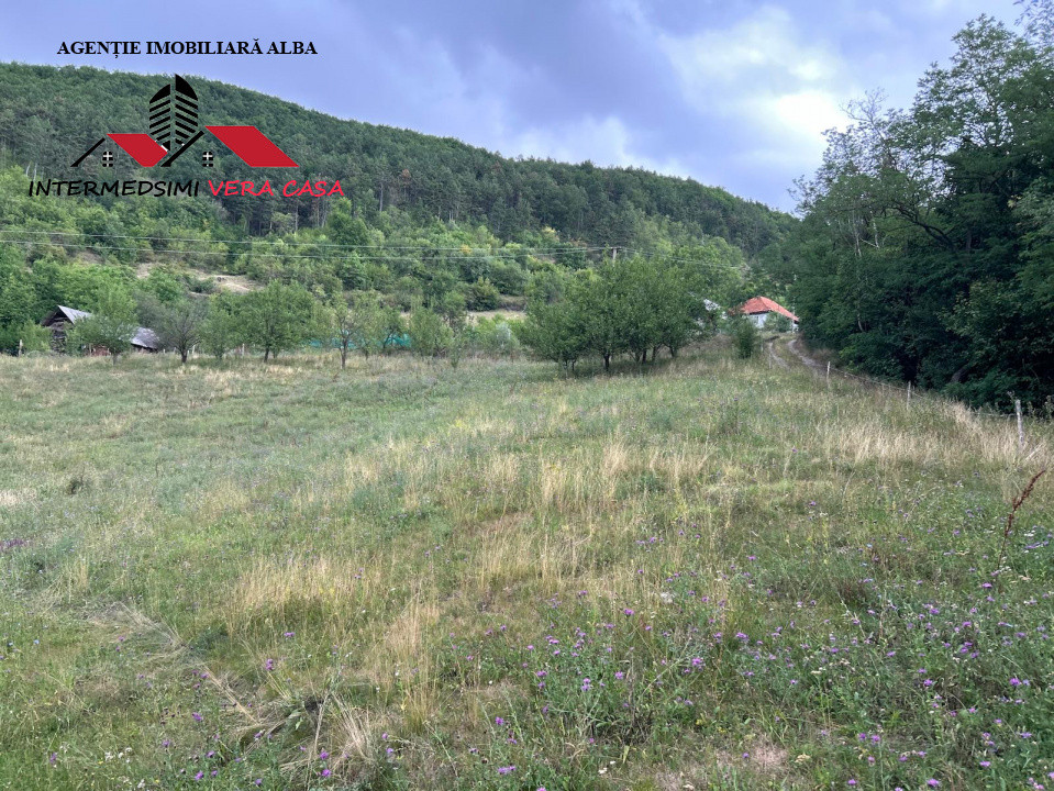 Teren intravilan 5000 mp de vanzare Remetea - Ampoita Jud Alba