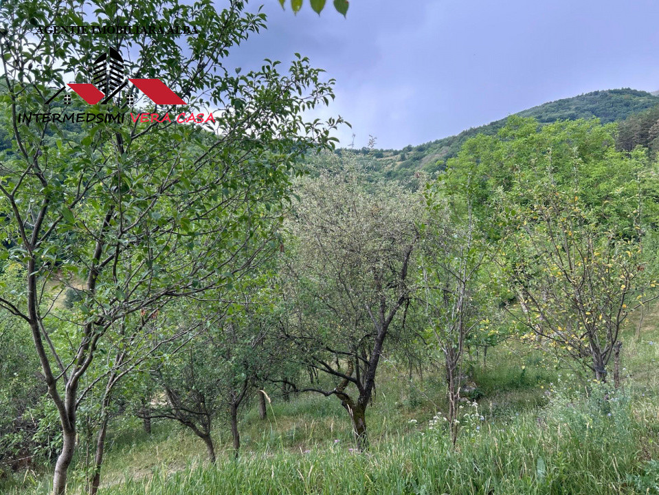 Teren intravilan 5000 mp de vanzare Remetea - Ampoita Jud Alba