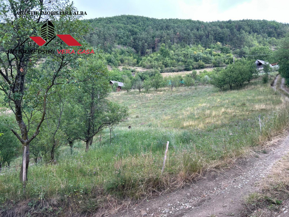 Teren intravilan 5000 mp de vanzare Remetea - Ampoita Jud Alba